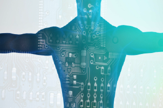 体の仕組みを説明する画像